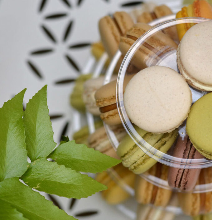 Macarons - Théo Chereau Pâtisserie